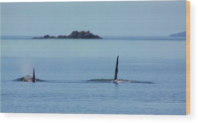 Orcas Wood Print featuring the photograph West Coast by Fred Bailey