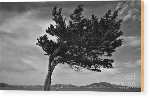 Timeless; Seasons; Spring; Summer; Autumn; Winter; Monumental; Aesthetic; Art; Nature; Photography; “signature Collection”; Lbdesigns; Color; “black And White” Wood Print featuring the photograph Autumn Tour BW05 by LBDesigns