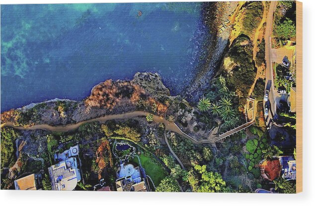 Walk Wood Print featuring the photograph Coast Walk Trail - La Jolla by Russ Harris