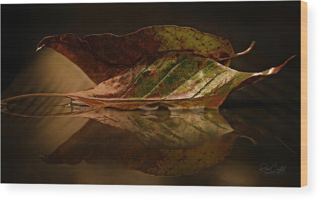 Leaves Wood Print featuring the photograph Done And Down by Rene Crystal