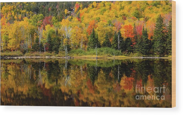 Landscape Wood Print featuring the photograph Fall Reflections by Seth Betterly
