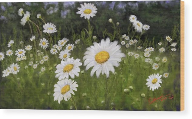 Daisies Wood Print featuring the digital art Daisies, a Wild Celebration of Summer by Marilyn Cullingford