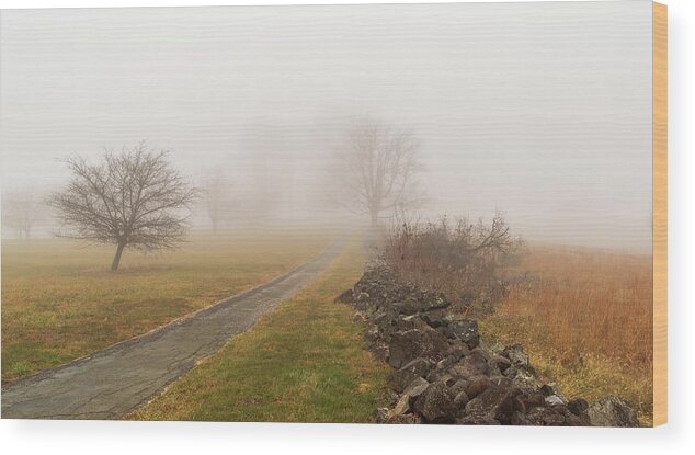 Road Wood Print featuring the photograph Gettysburg Battlefield 2020 by Amelia Pearn