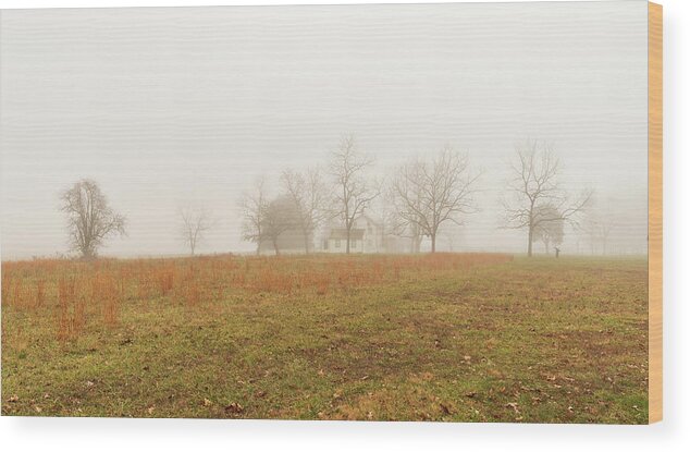 Landscape Wood Print featuring the photograph Gettysburg Winter 2020 by Amelia Pearn