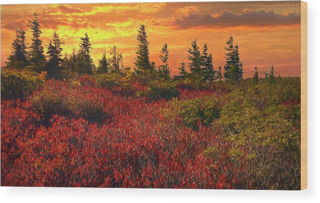 Dolly Sods Wood Print featuring the photograph Impressionistic Dolly Sods by Art Cole