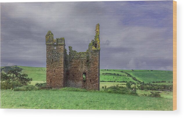 Ruins Wood Print featuring the photograph Irish Countryside Charm by Marcy Wielfaert