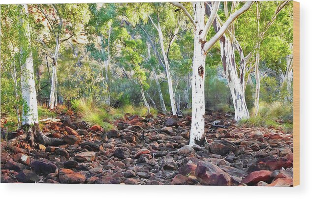 Raw And Untouched Northern Territory Series By Lexa Harpell Wood Print featuring the photograph Kings Creek - Kings Canyon Australia by Lexa Harpell