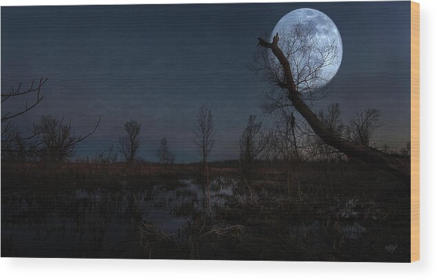 Swamp Wood Print featuring the photograph Legend of Peter Scott Swamp by Everet Regal