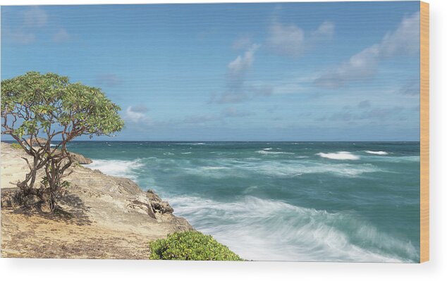 Hawaii Wood Print featuring the photograph Long Exposure of Waves Rolling In by Betty Eich