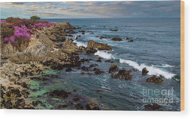 Beach Wood Print featuring the photograph Lover's Point Rocky Coast by David Levin