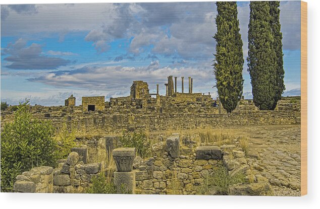 Roman Ruins In Morocco Wood Print featuring the photograph October in Volubilis by Edward Shmunes