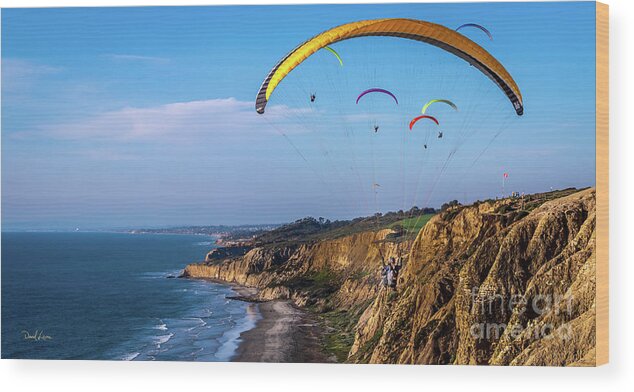 Beach Wood Print featuring the photograph Paragliders Flying Over Torrey Pines by David Levin