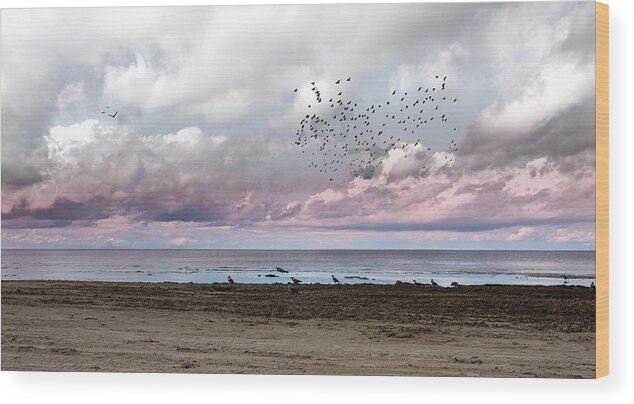 Photography #nature Photography #seascape Photography #tranquility#serenity On The Beach #calm Sea #pink Clouds #poetic Feeling #melancholy Vibes #autumn Mood #after Storm Wood Print featuring the photograph Poetic Beach Vibes Jurmala by Aleksandrs Drozdovs