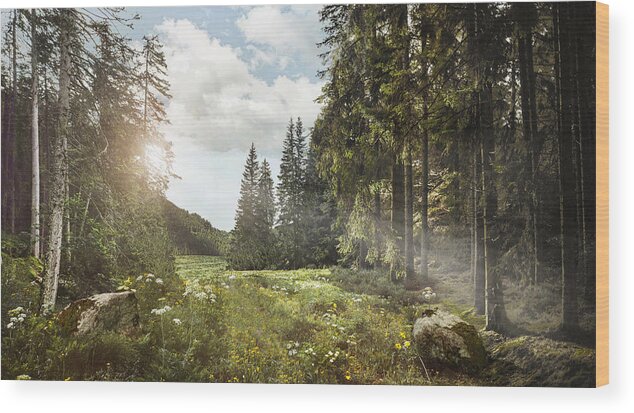 Tranquility Wood Print featuring the photograph Quiet forest and light beams by Miguel Navarro