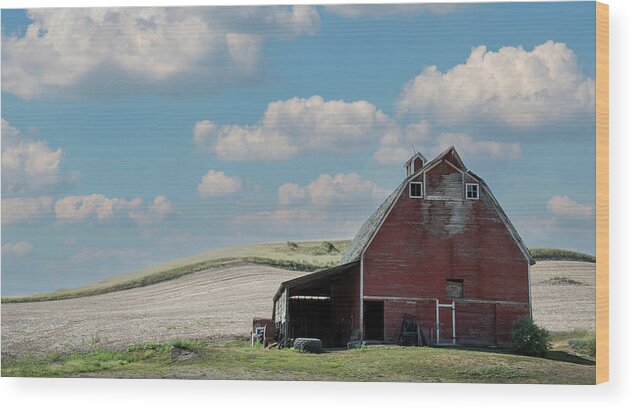 Farm Wood Print featuring the photograph Red Barn Blue Sky by Connie Carr