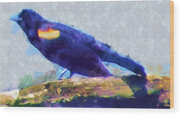 Bird Wood Print featuring the mixed media Red Winged Blackbird by Christopher Reed
