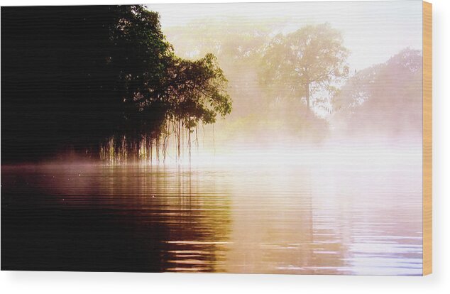 River Wood Print featuring the photograph River in the fog by Patricia Piotrak
