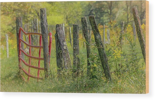 Cades Cove Wood Print featuring the photograph Sparks Lane Appeal by Marcy Wielfaert