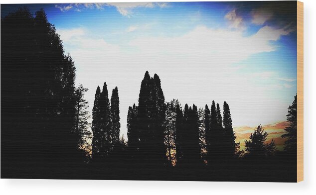 Sunset Wood Print featuring the photograph Standing tall I'm the sunset by Shalane Poole