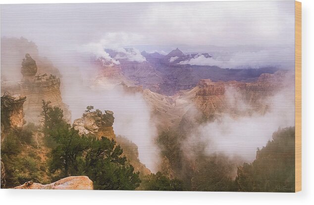 Colorado River Wood Print featuring the photograph Storm in the Canyon by Rick Furmanek