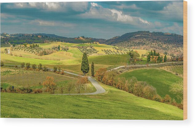 Tuscany Wood Print featuring the photograph The Hills Are Alive In Tuscany by Marcy Wielfaert