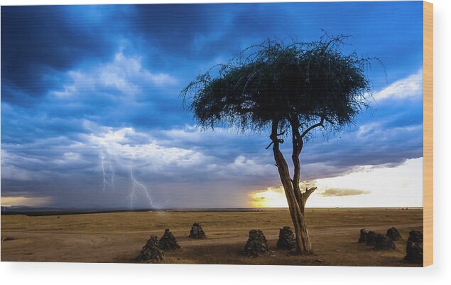 2019-04-11 Wood Print featuring the photograph Thunderstorm Over Ol-Pejeta by Phil And Karen Rispin