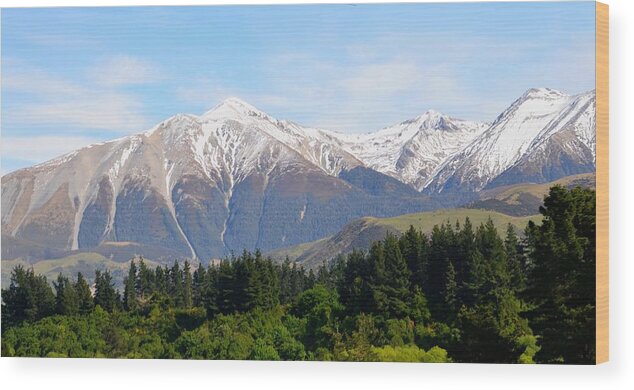 Train Journey Wood Print featuring the photograph TranzAlpine train, New Zealand by Lynn Hunt