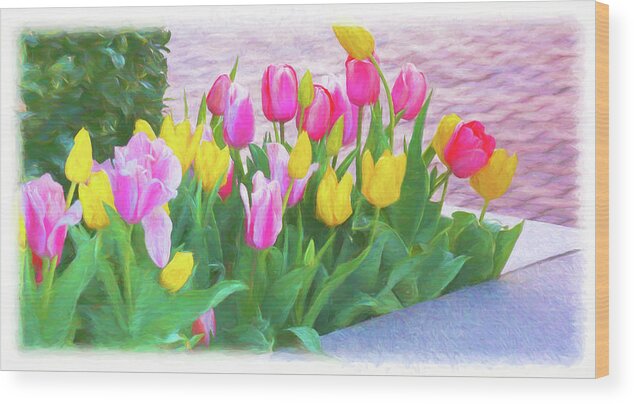 Tulips Wood Print featuring the photograph Tulips Announcing Springtime by Ola Allen
