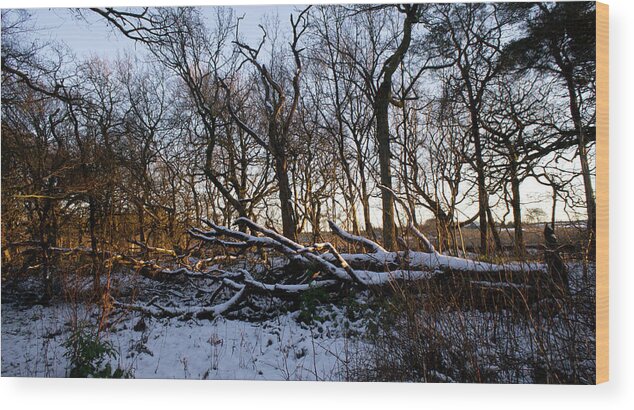 Winter Wood Print featuring the photograph Winter the Beautiful by Elena Perelman