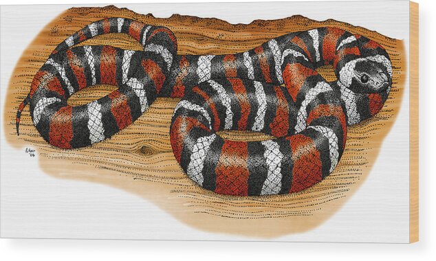 Art Wood Print featuring the photograph Mountain Kingsnake by Roger Hall