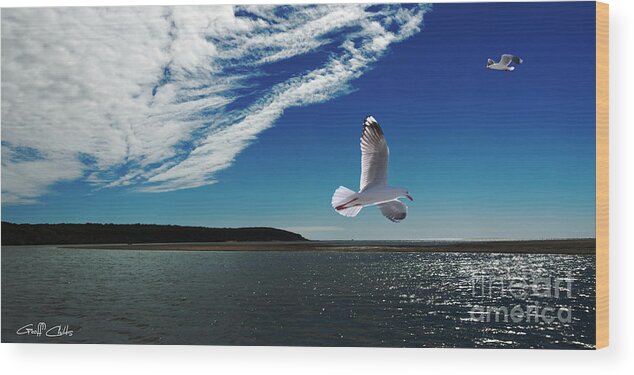 Marinescape Wood Print featuring the photograph Sea Birds - Marinescape by Geoff Childs