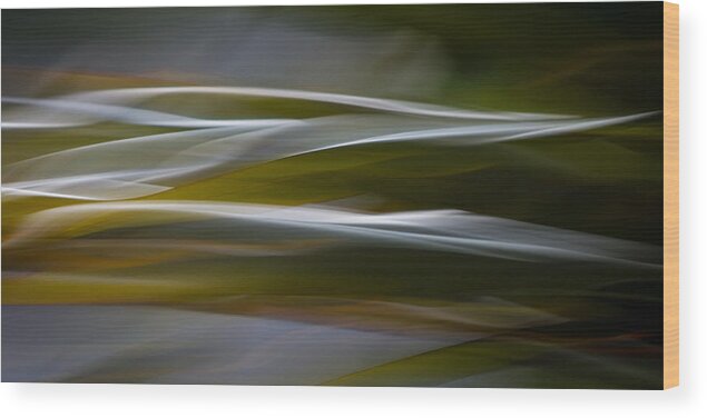Motion Blur Wood Print featuring the photograph Blurscape #10 by Dayne Reast