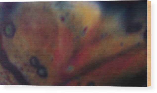 Fish Wood Print featuring the photograph Alien Sea Life by Sharon Ackley