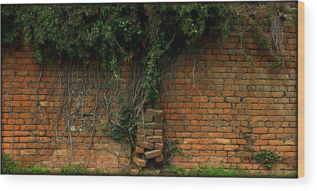 Elmwood Cemetery Wood Print featuring the photograph Another Brick in the Wall by Shannon Louder