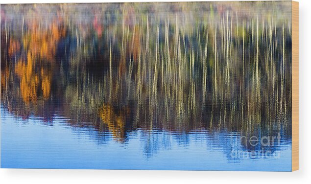 Reflection Wood Print featuring the photograph Autumn Reflections Panoramic by Thomas R Fletcher