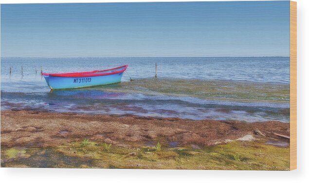 Boat Wood Print featuring the photograph Boat at the pond by Roberto Pagani