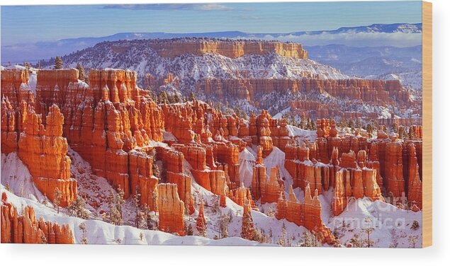 Bryce Canyon National Park Wood Print featuring the photograph Bryce Canyon Panorama by Benedict Heekwan Yang