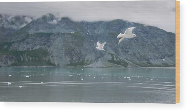 Alaska Wood Print featuring the photograph Colors of Alaska - Glacier Bay by Natalie Rotman Cote