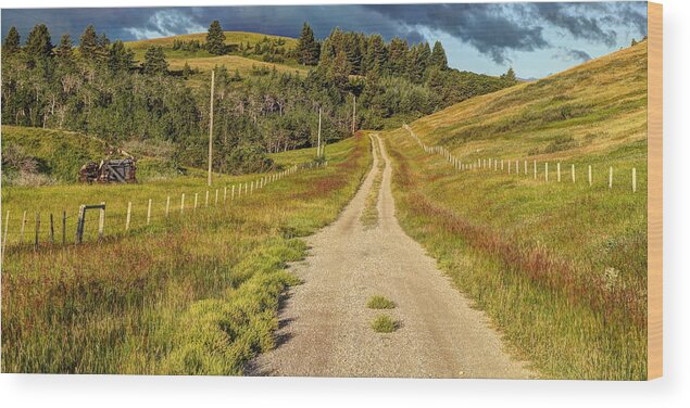 Roads Wood Print featuring the photograph Country Road by Jim Sauchyn