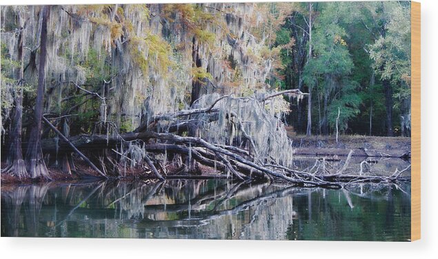 Uncertain Wood Print featuring the photograph Fallen Reflection by Lana Trussell