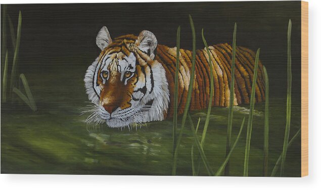 Tiger Wood Print featuring the painting Intrigued - Tiger by Johanna Lerwick