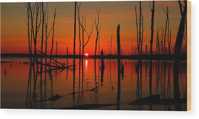 January Sunrise Wood Print featuring the photograph January Sunrise by Raymond Salani III
