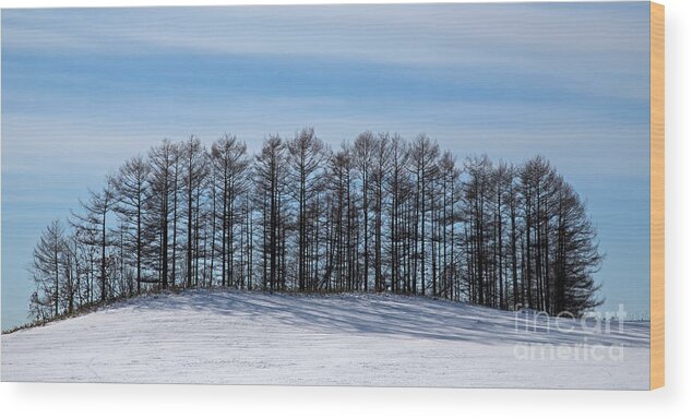 Winter Wood Print featuring the photograph Japan in Winter by Natural Focal Point Photography