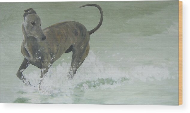 Greyhound Wood Print featuring the painting Jazz at the beach by Susan Richardson