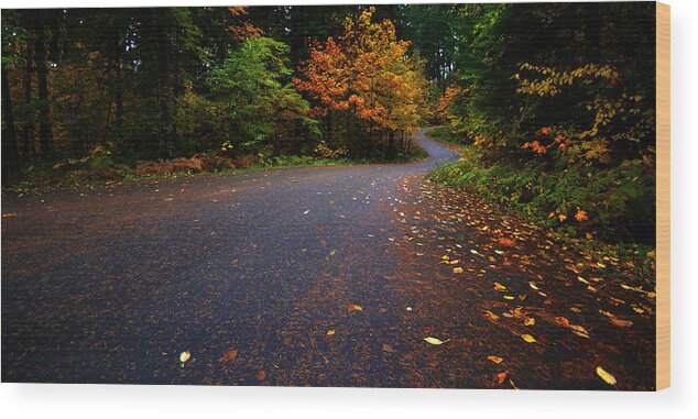 Hagg Wood Print featuring the photograph Lake Road by Matt Hanson