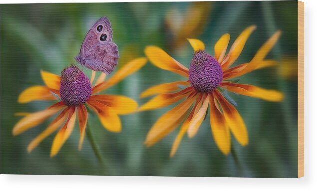  Wood Print featuring the photograph Mariposa Dos Flores by Bill Johnson