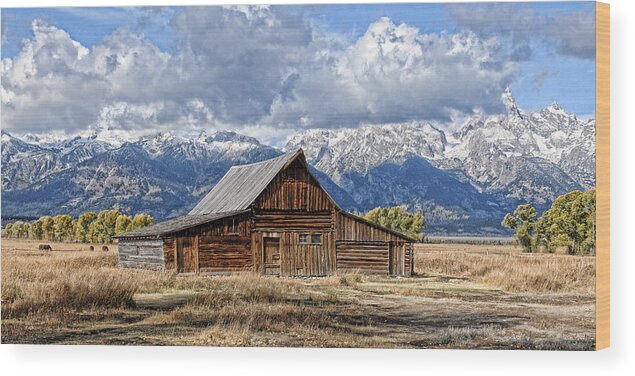 Moulton Wood Print featuring the photograph Mormon Barn with Horses by David Armstrong