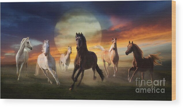 Friesian Wood Print featuring the photograph Night Play by Melinda Hughes-Berland