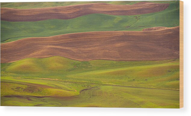 Spring Sunset Wood Print featuring the photograph Ribbons on the earth by Kunal Mehra