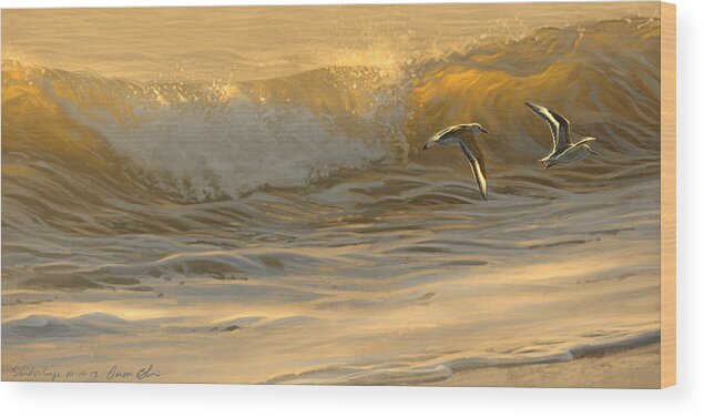 Beach Wood Print featuring the digital art Sanderlings by Aaron Blaise